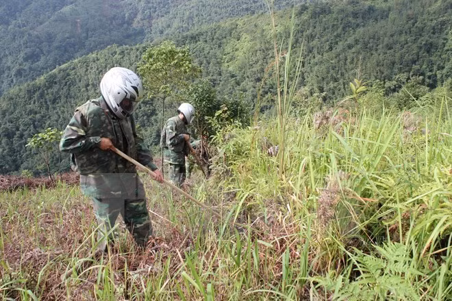 Elévation des connaissances sur la prévention des accidents des bombes et mines ảnh 1