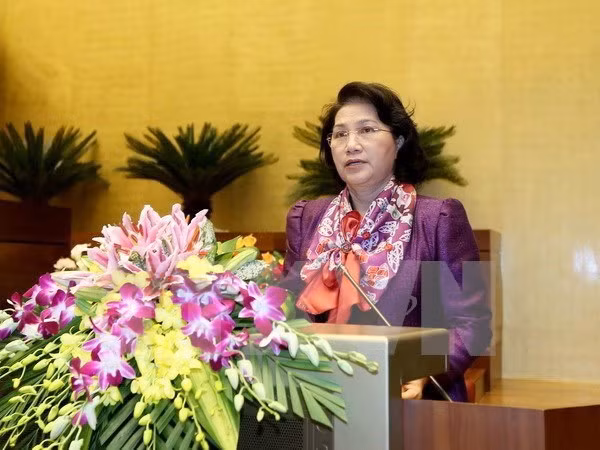 Poursuite du développement des relations d’amitié avec la République tchèque ảnh 1