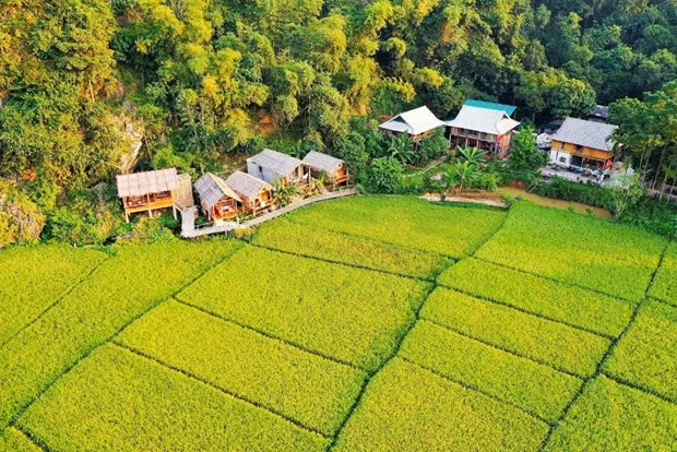 Les endroits les plus accueillants du Vietnam pour 2022 selon Booking.com ảnh 5