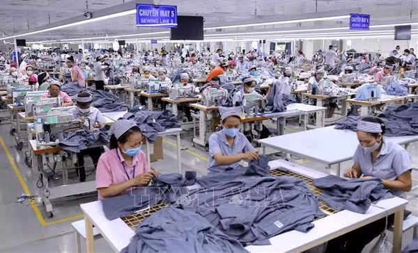 Le Vietnam et les Etats-Unis réfléchissent à rehausser leur partenariat ảnh 2 Le Vietnam et les Etats-Unis réfléchissent à rehausser leur partenariat ảnh 2