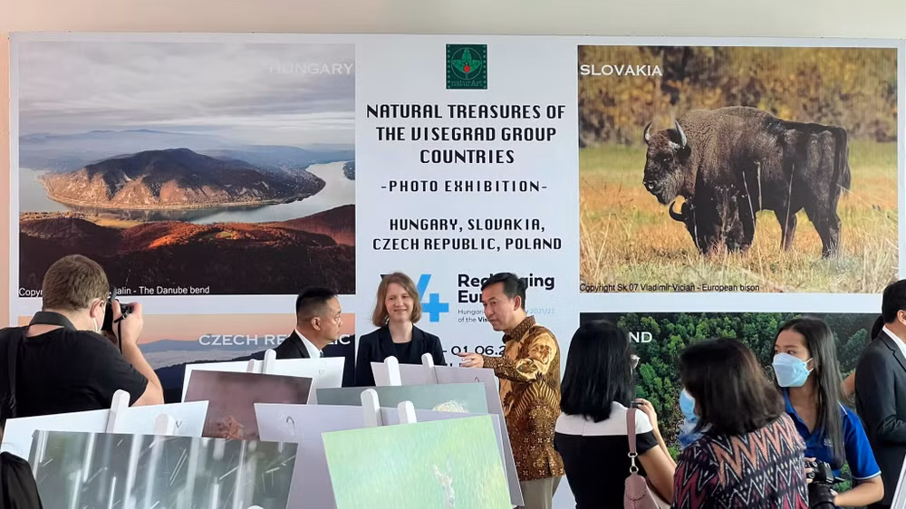 Expositions de photos sur la solidarité entre les quatre pays d’Europe centrale et le Vietnam ảnh 1