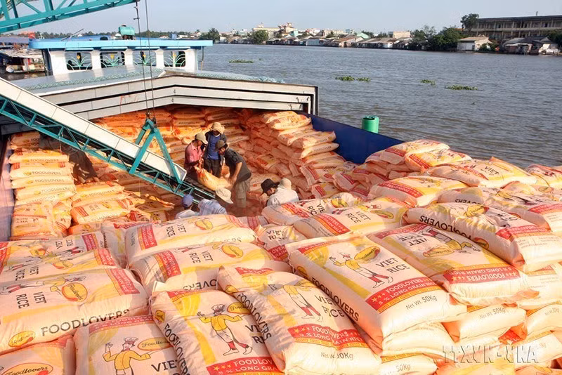 Le Vietnam, un partenaire potentiel des pays africains ảnh 1