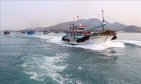 La lutte contre la pêche INN aidera à développer durablement l’économie maritime de Ninh Thuân ảnh 1