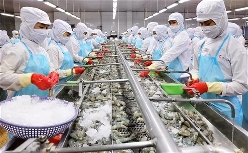 Produits aquatiques: s'orienter vers une exploitation et une production durables ảnh 1