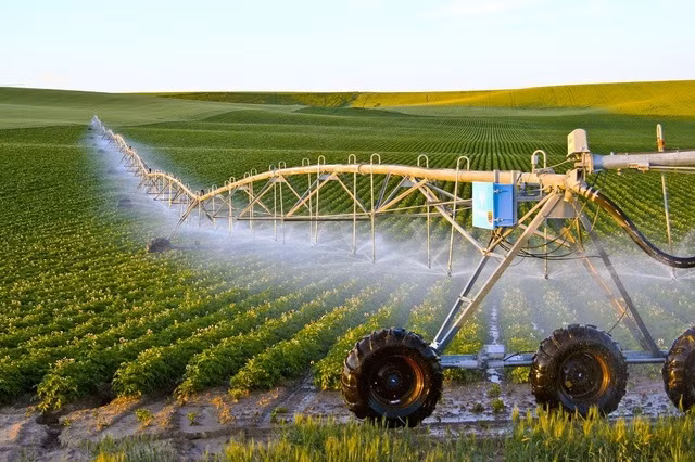 La transformation numérique, une tendance incontournable pour l'agriculture vietnamienne ảnh 2 La transformation numérique, une tendance incontournable pour l'agriculture vietnamienne ảnh 2
