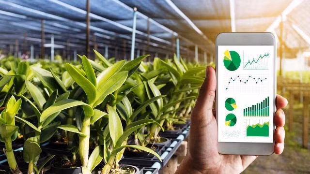 La transformation numérique, une tendance incontournable pour l'agriculture vietnamienne ảnh 1 La transformation numérique, une tendance incontournable pour l'agriculture vietnamienne ảnh 1