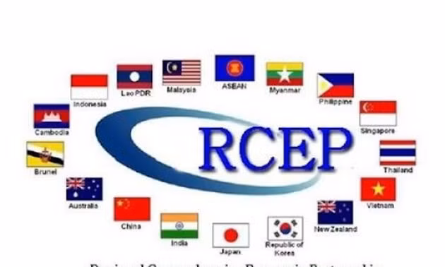 Le RCEP, le plus grand accord de libre-échange au monde, entre en vigueur ảnh 1