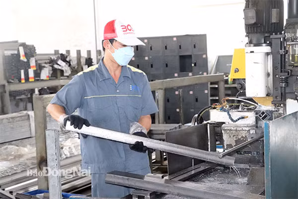 Dông Nai affiche un excédent commercial de près de 3,5 milliards de dollars en 6 mois ảnh 1 Dông Nai affiche un excédent commercial de près de 3,5 milliards de dollars en 6 mois ảnh 1