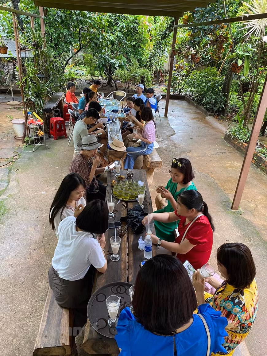 Flâner dans le jardin de cacaoyer à Buon Ma Thuot ảnh 2