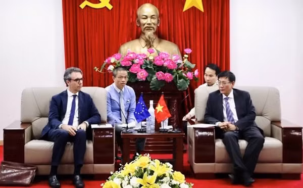 Une délégation de l'UE au Vietnam sonde les opportunités d'investissement à Binh Duong ảnh 1