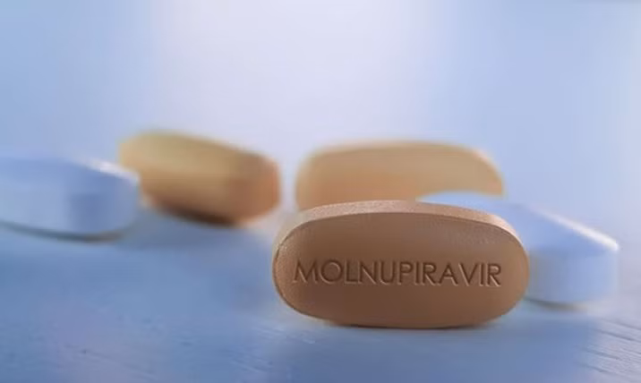 Médicaments contenant du Molnupiravir pour le traitement de COVID-19 proposés pour être homologués ảnh 1
