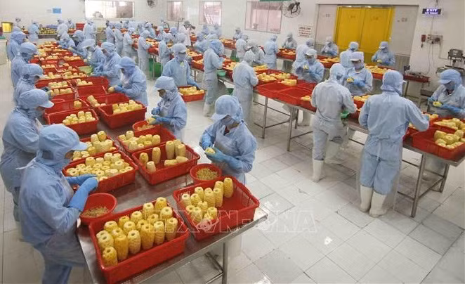 Des approches flexibles pour renforcer la présence des produits vietnamiens en Eurasie ảnh 1 Des approches flexibles pour renforcer la présence des produits vietnamiens en Eurasie ảnh 1
