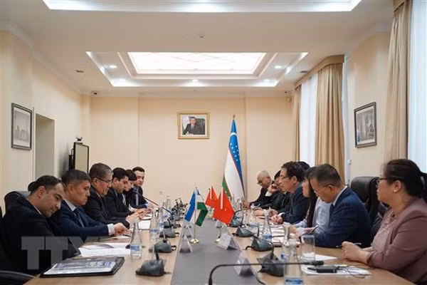 Vietnam-Ouzbékistan : volonté commune de promouvoir la coopération bilatérale ảnh 1