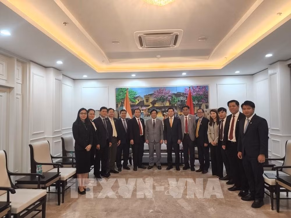 Binh Duong promeut la coopération commerciale avec l'Inde ảnh 1