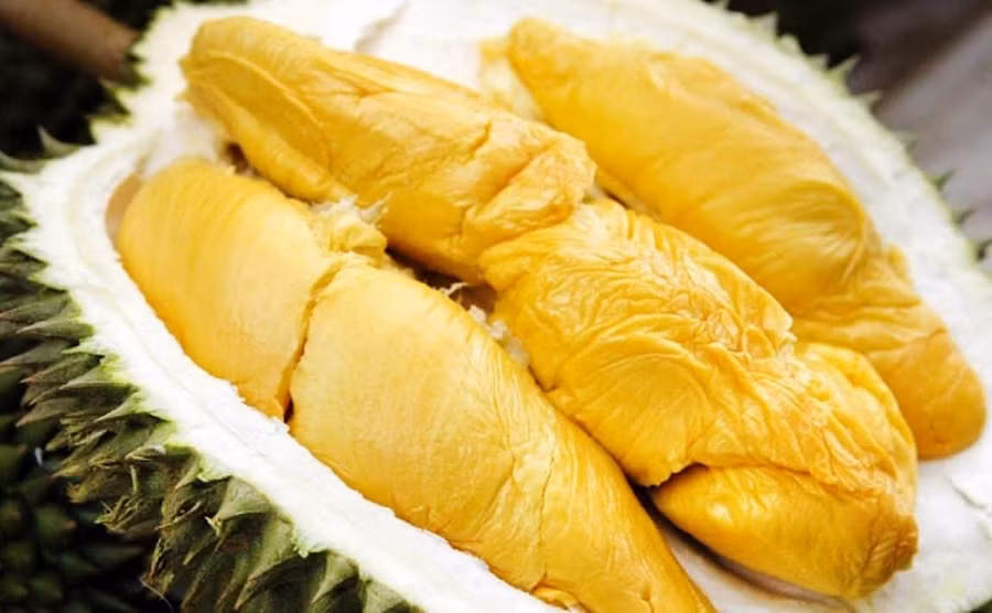 Le Vietnam pourrait exporter cette année des durians vers la Chine ảnh 1