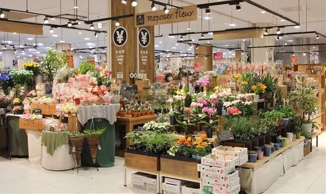 Les fleurs du Vietnam sont préférées par les consommateurs japonais ảnh 1