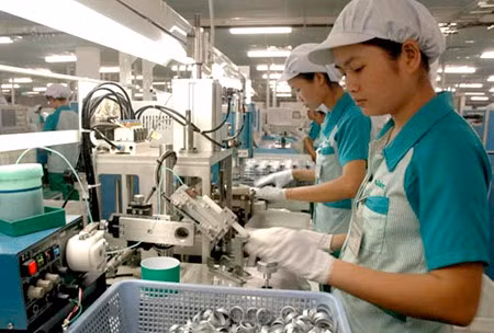 Pour l’exportation durable de produits industriels ảnh 1