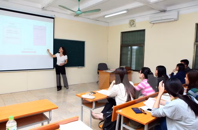 La Nouvelle-Zélande partage des expériences de réforme de l’éducation avec le Vietnam ảnh 1