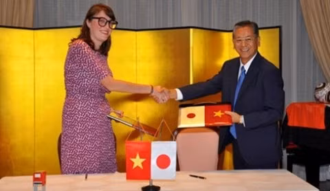 Aide japonaise pour le déminage au Vietnam ảnh 1