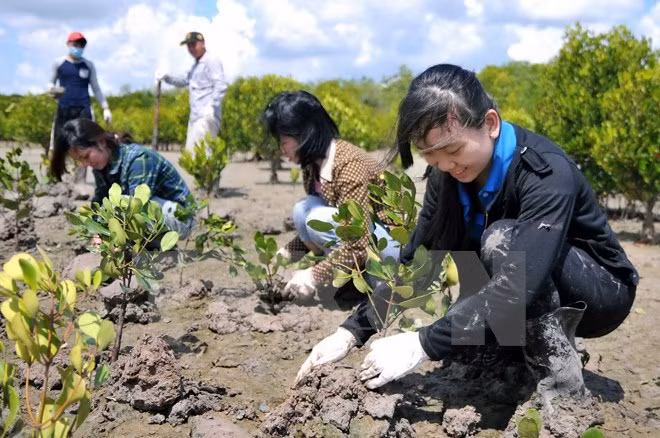 Climat : l’UE augmente son assistance au Vietnam ảnh 1