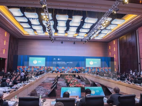 Ouverture de la conférence ministérielle des AE et de l’Economie de l'APEC ảnh 1