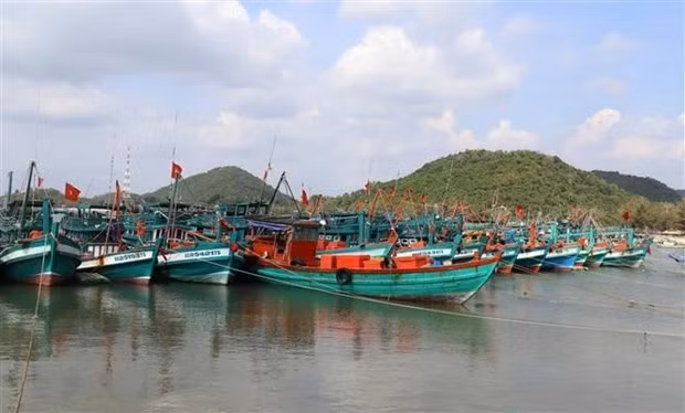 Ba Ria-Vung Tau impose de lourdes amendes aux navires violant les règles de lutte contre la pêche INN ảnh 1
