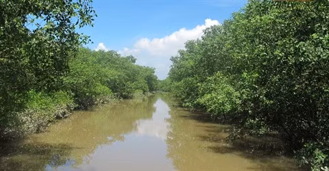 Les zones humides et les habitats associés au menu d’un séminaire ảnh 2