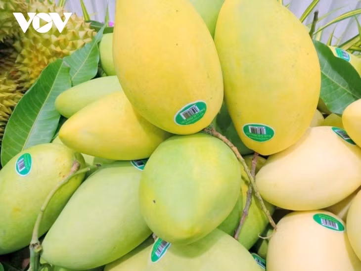 L’innovation agricole est en marche ảnh 2
