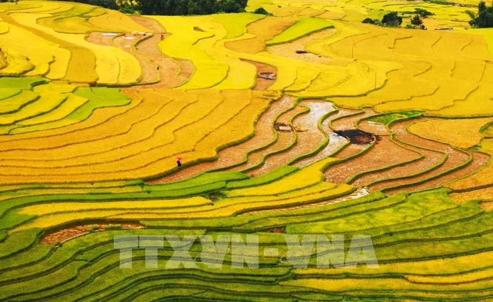 Le Vietnam nominé dans 10 catégories aux World Travel Awards 2022 ảnh 1