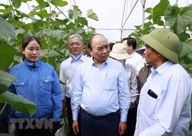 Le président Nguyen Xuan Phuc rend visite à des personnes âgées à Hai Duong ảnh 1 Le président Nguyen Xuan Phuc rend visite à des personnes âgées à Hai Duong ảnh 1