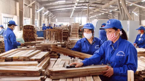 Les exportations de produits sylvicoles atteignent 8,49 milliards de dollars en 11 mois ảnh 1