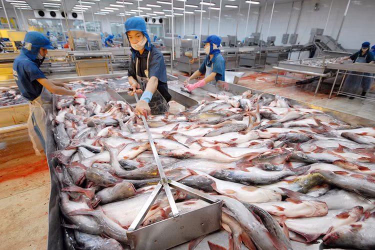 Augmentation des exportations vers les marchés du Moyen-Orient et de l’Afrique ảnh 1