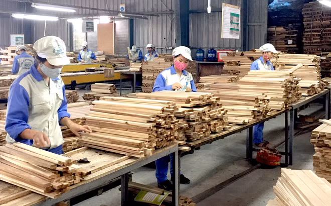 Les échanges commerciaux Vietnam – Afrique du Sud atteindra 2 milliards de dollars ảnh 1 Les échanges commerciaux Vietnam – Afrique du Sud atteindra 2 milliards de dollars ảnh 1