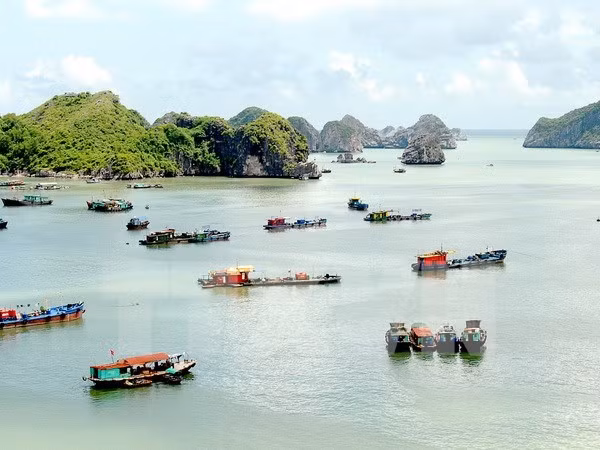 Hai Phong compte devenir un centre touristique de niveau national voire international ảnh 1 Hai Phong compte devenir un centre touristique de niveau national voire international ảnh 1