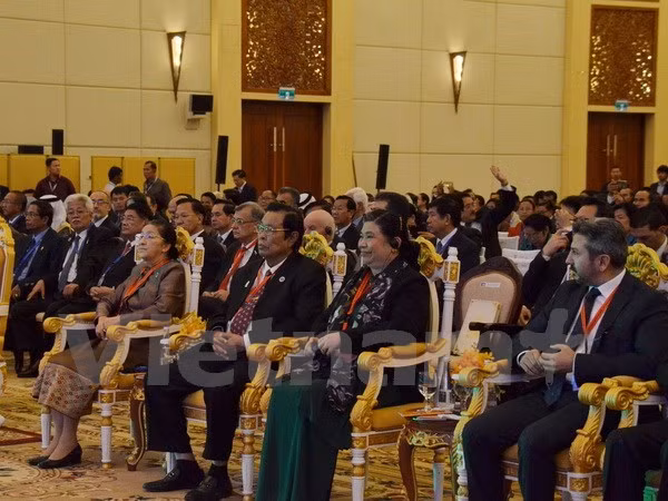 Le Vietnam à la 9e session plénière de l'APA au Cambodge ảnh 1