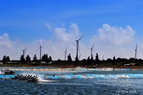 Les énergies renouvelables pour un avenir durable ảnh 3