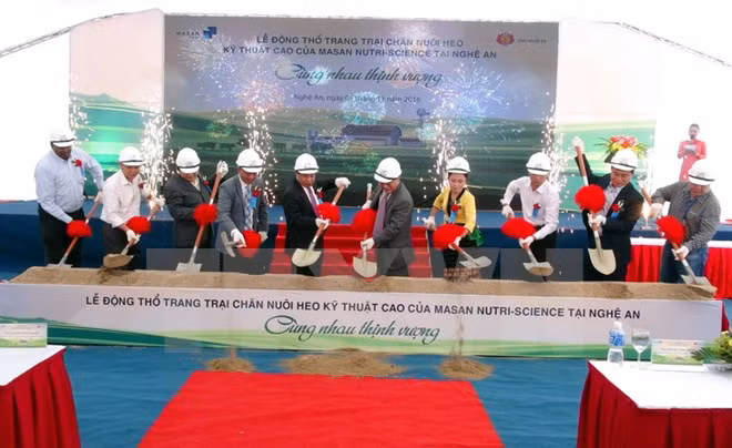 Mise en chantier d'une ferme d'élevage de porcs high-tech à Nghe An ảnh 1