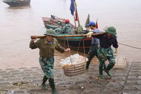 Le marché aux poissons de Giao Hai ảnh 2