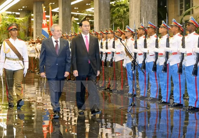 Renforcement de la solidarité et de la coopération intégrale Vietnam - Cuba ảnh 1