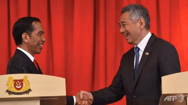 L’Indonésie et Singapour renforcent leur coopération dans l’économie ảnh 1