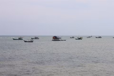 Le delta du Mékong développe son économie maritime ảnh 2