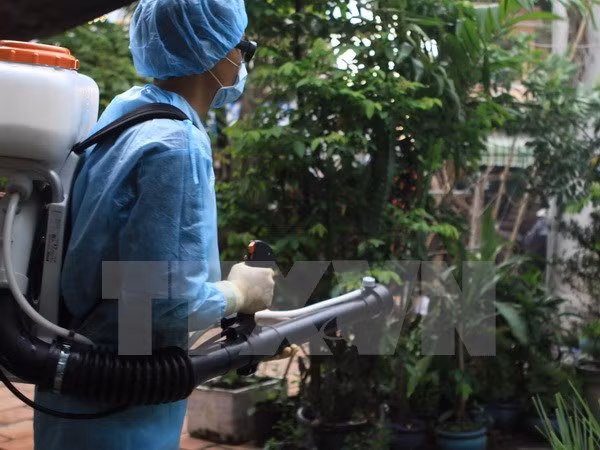 Ho Chi Minh-Ville fait tout pour contrôler l’évolution de Zika ảnh 1 Ho Chi Minh-Ville fait tout pour contrôler l’évolution de Zika ảnh 1