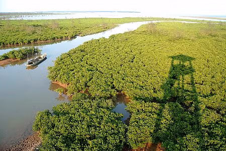 Parc national de Xuân Thuy : là où l’oiseau se pose ảnh 2