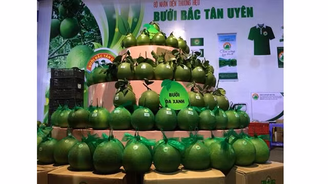 Binh Duong cherche à valoriser ses agrumes ảnh 1 Binh Duong cherche à valoriser ses agrumes ảnh 1