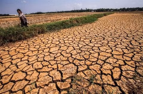Assurer la sécurité alimentaire dans le contexte du changement climatique ảnh 2