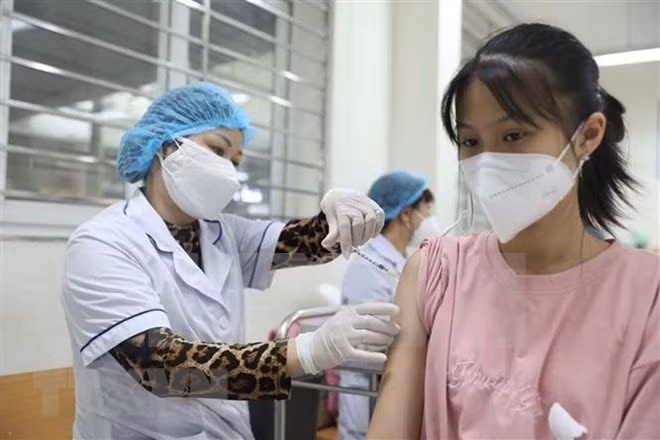 Covid-19: le Vietnam recense 546 nouveaux cas en 24 heures ảnh 1 Covid-19: le Vietnam recense 546 nouveaux cas en 24 heures ảnh 1