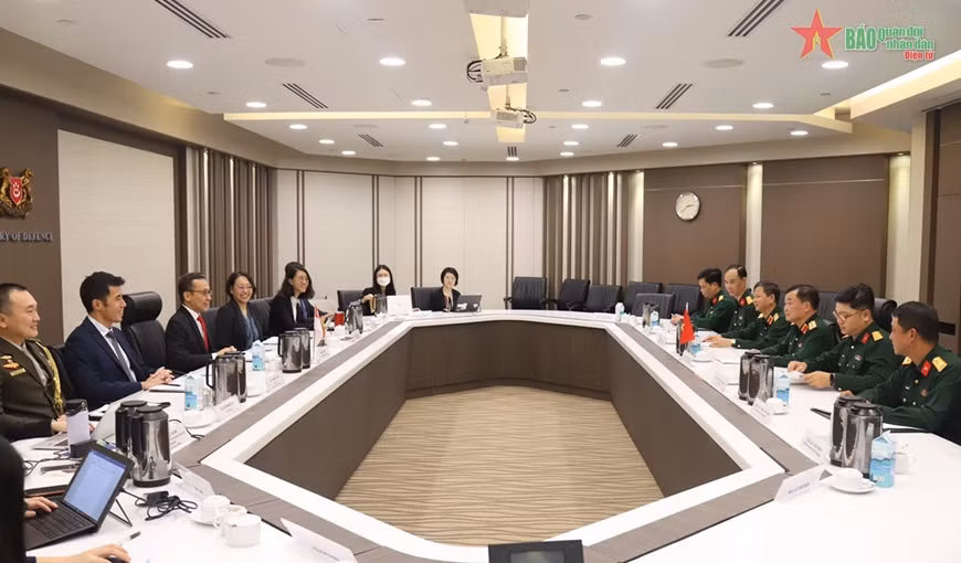 Le Vietnam et Singapour réaffirment leur coopération de défense ảnh 1