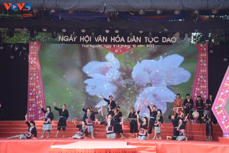 À Son La, une troupe artistique villageoise chante le patrimoine culturel des Dao ảnh 2