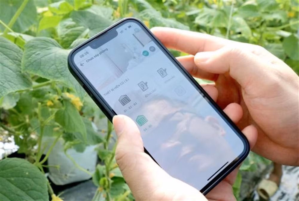 Hanoï accélère le développement agricole durable ảnh 1 Hanoï accélère le développement agricole durable ảnh 1