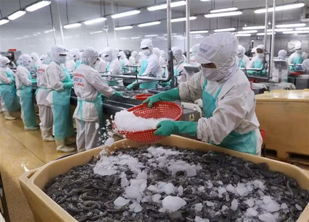 Le RCEP a rôle important dans l'élaboration des chaînes d'approvisionnement au Vietnam ảnh 2 Le RCEP a rôle important dans l'élaboration des chaînes d'approvisionnement au Vietnam ảnh 2